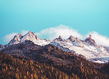 NBA历史首位中锋!约基奇达成生涯6000次助攻里程碑